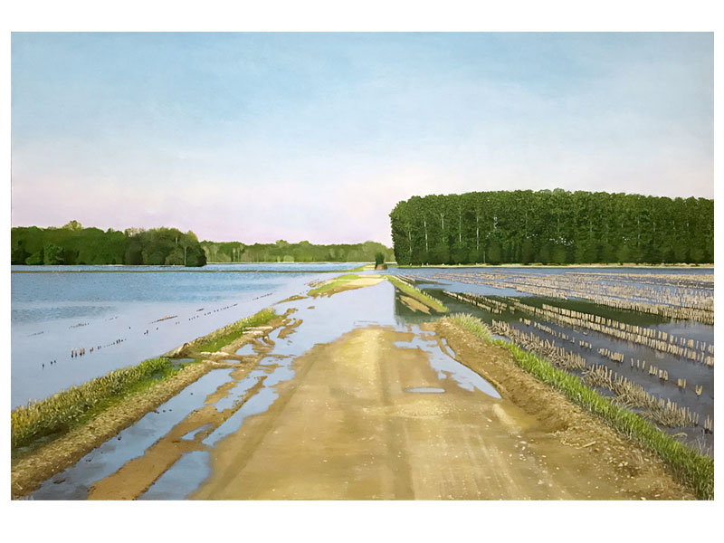 En immersion 80x120cm